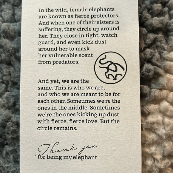 "FRIENDSHIP/SISTERHOOD" ELEPHANT ORNAMENT - Picture 2 of 2